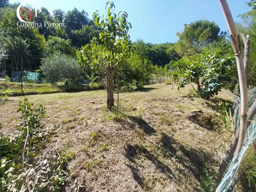 Immagine 3 di Casa indipendente in vendita  in frazione Corella a Dicomano