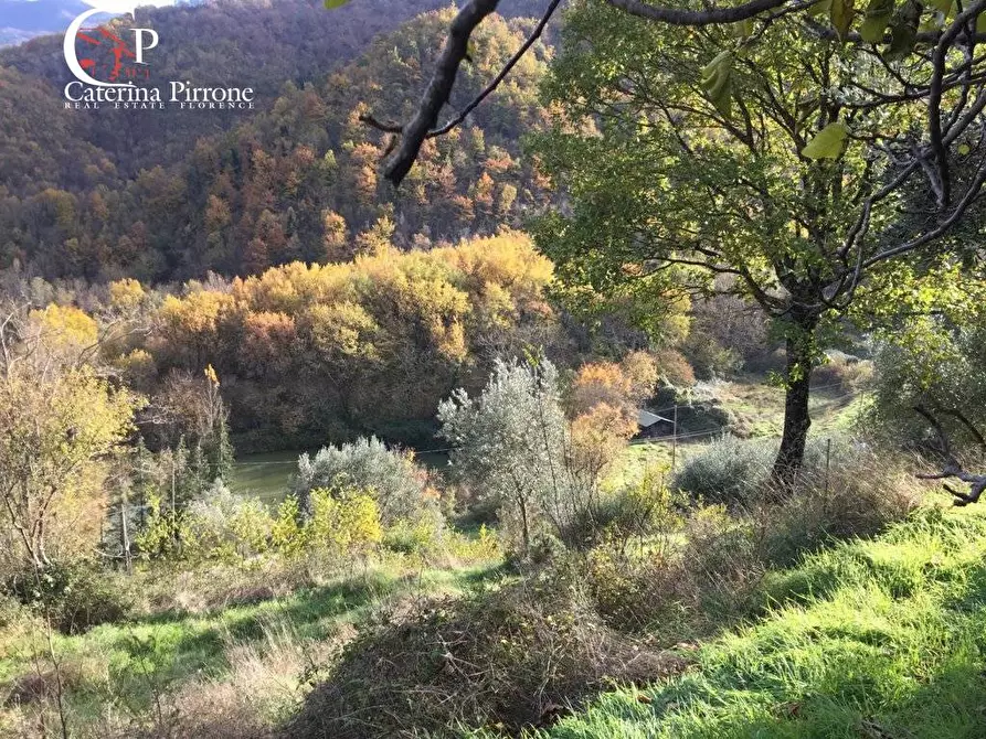 Immagine 22 di Rustico / casale in vendita  in località Spaliena a San Godenzo