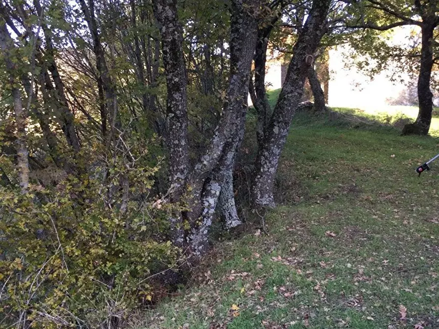 Immagine 25 di Rustico / casale in vendita  in località Spaliena a San Godenzo