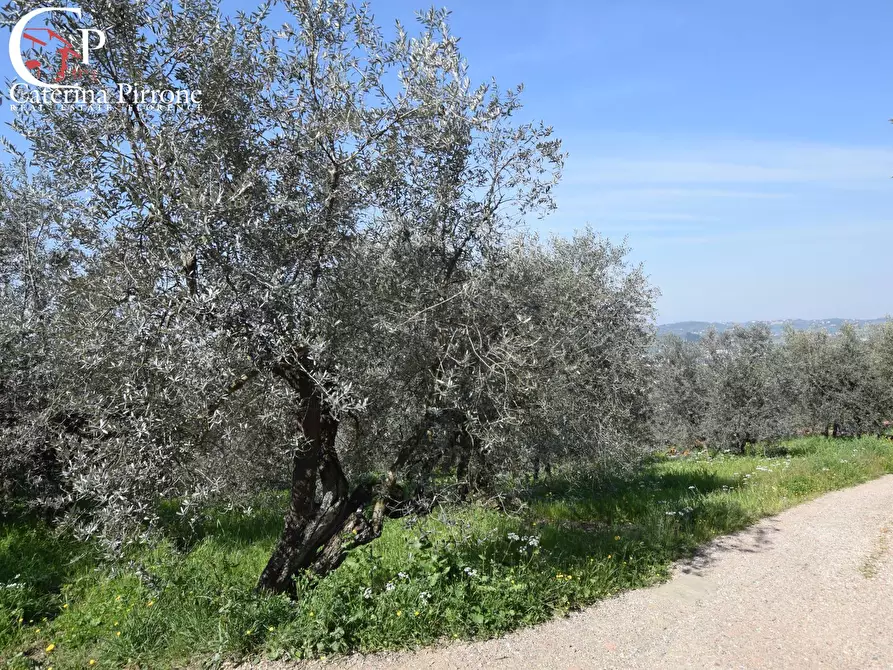 terreno agricolo in vendita a Rignano sull'Arno in zona Bombone