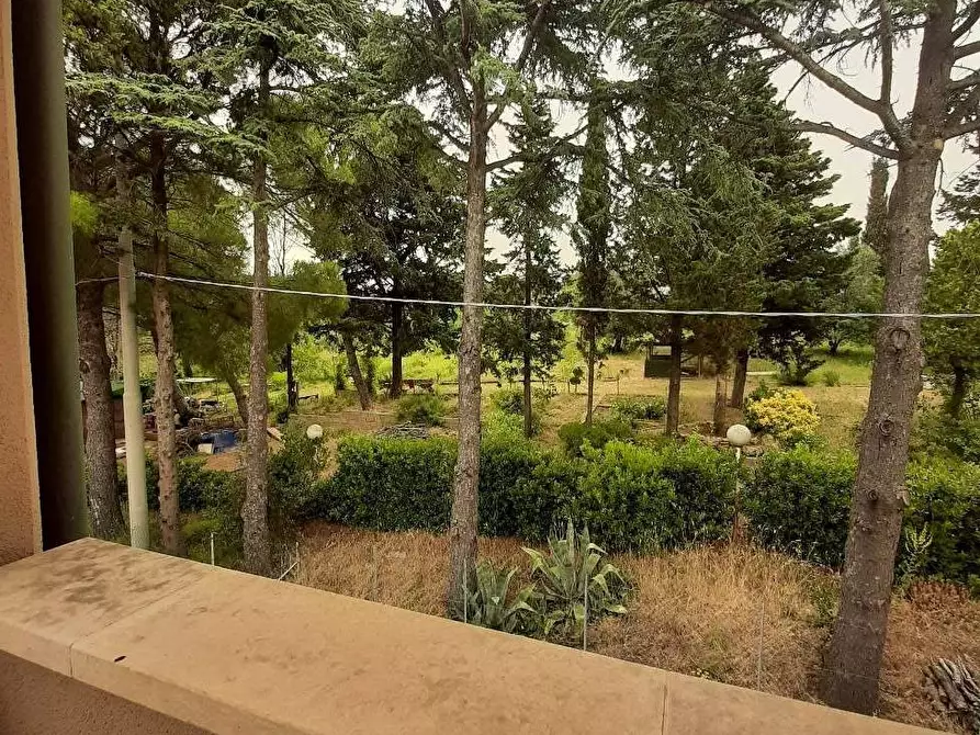 Immagine 9 di Appartamento in vendita  in località Cotone a Rosignano Marittimo