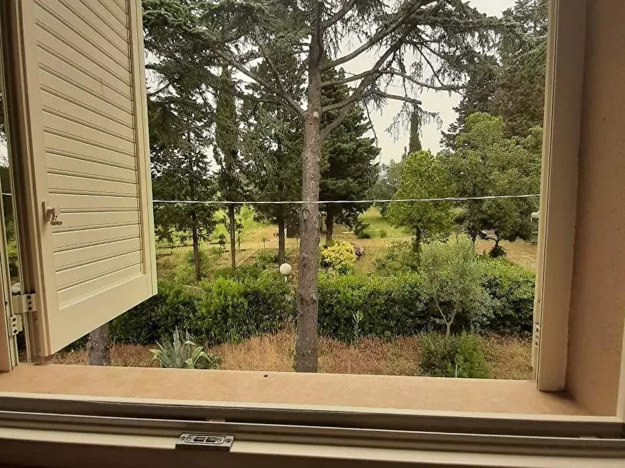 Immagine 10 di Appartamento in vendita  in località Cotone a Rosignano Marittimo