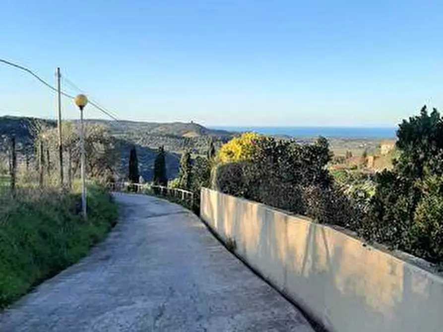 Immagine 4 di Appartamento in vendita  in via Fontanella a Castagneto Carducci