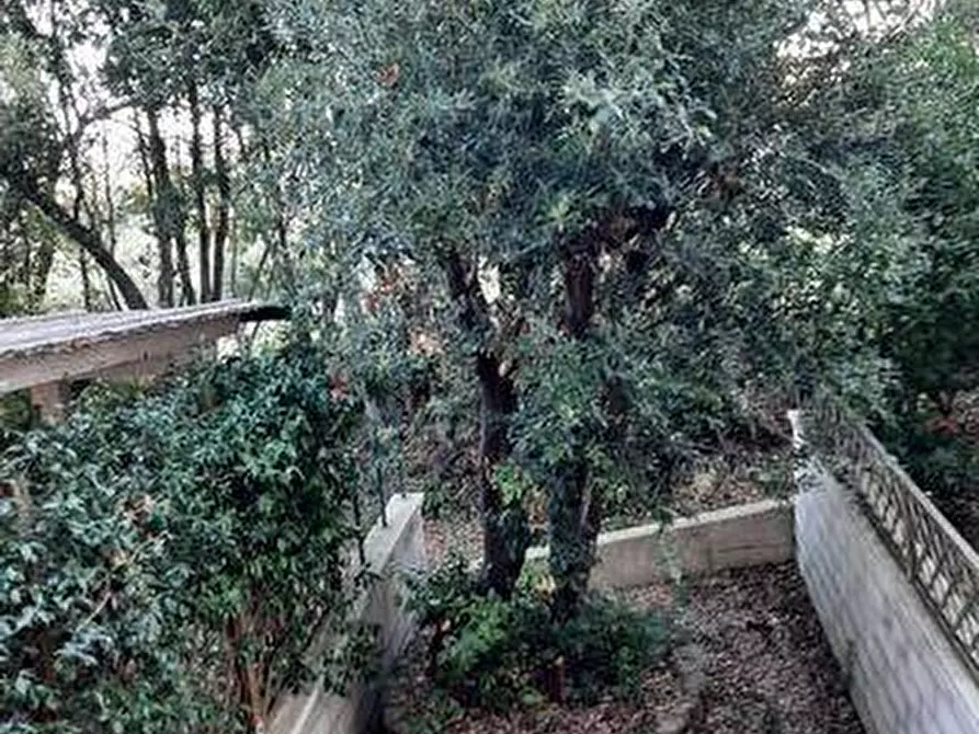 Immagine 13 di Appartamento in vendita  in via Fontanella a Castagneto Carducci