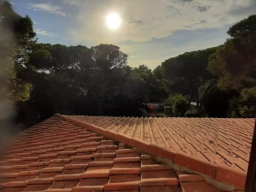 Immagine 11 di Appartamento in vendita  in via Giacomo Matteotti a Rosignano Marittimo