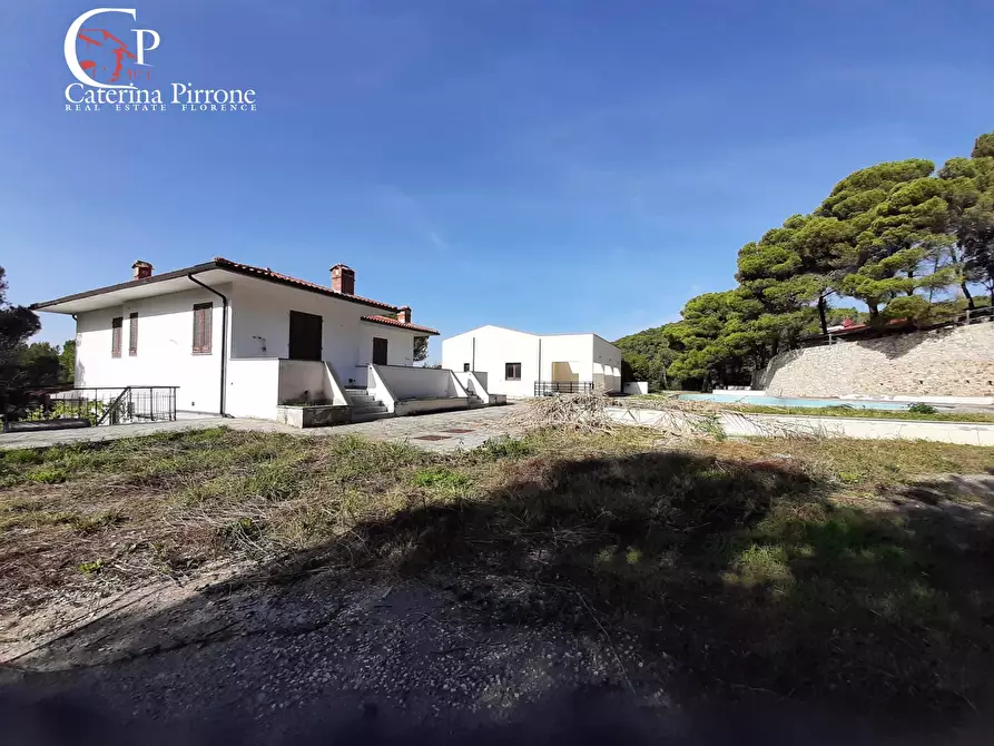 Immagine 3 di Appartamento in vendita  in via Giacomo Matteotti a Rosignano Marittimo