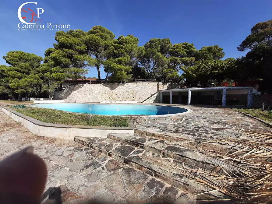 Immagine 7 di Appartamento in vendita  in via Giacomo Matteotti a Rosignano Marittimo