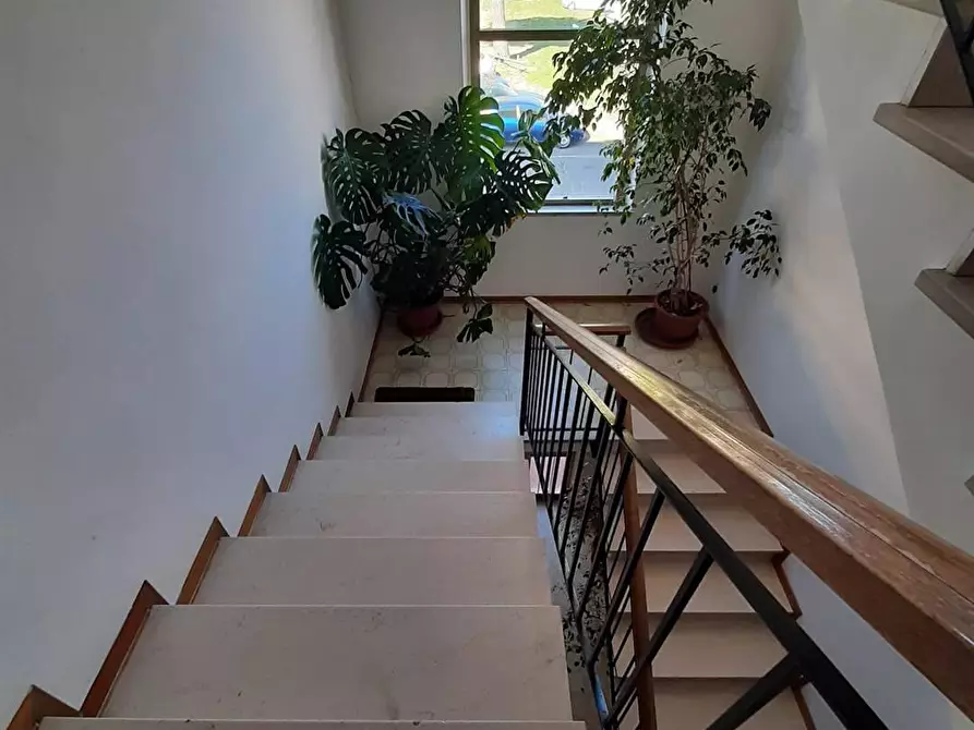 Immagine 6 di Appartamento in vendita  in via 20 Giugno 1944 a Rosignano Marittimo