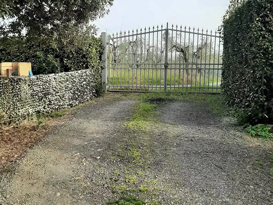 Immagine 6 di Rustico / casale in vendita  in viale Italia a Rosignano Marittimo