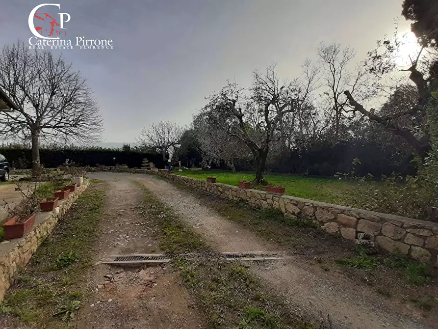 Immagine 7 di Rustico / casale in vendita  in viale Italia a Rosignano Marittimo