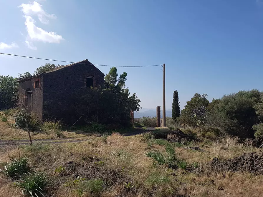 Immagine 5 di Terreno agricolo in vendita  a Ragalna