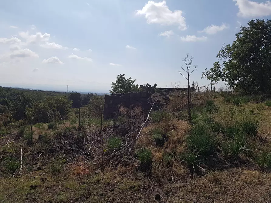 Immagine 6 di Terreno agricolo in vendita  a Ragalna