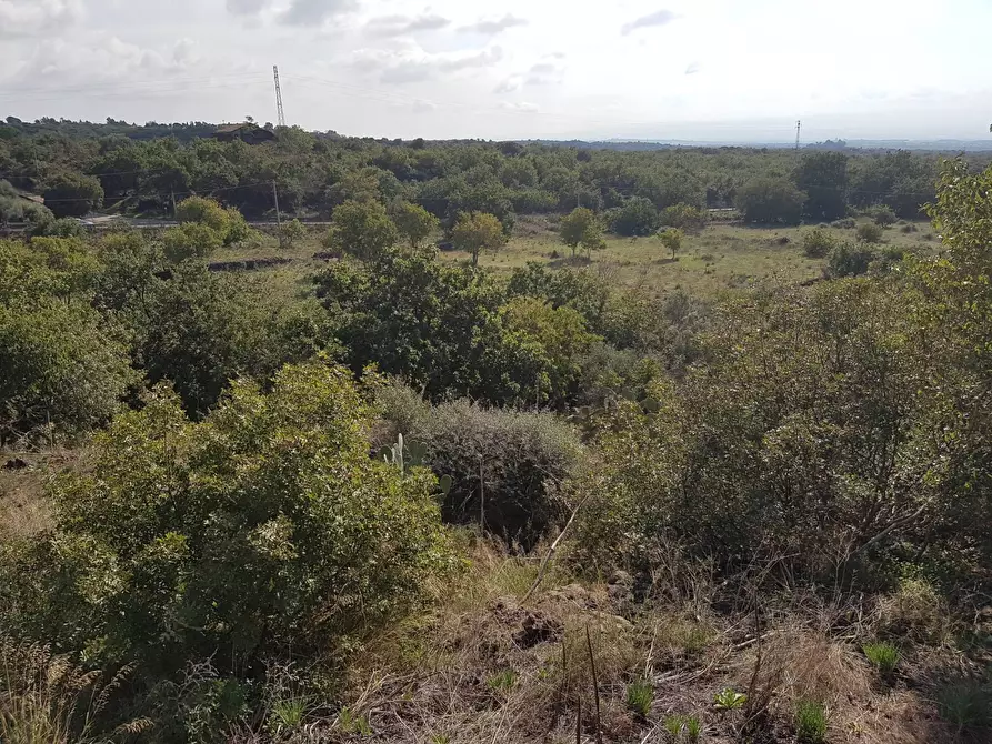 Immagine 7 di Terreno agricolo in vendita  a Ragalna