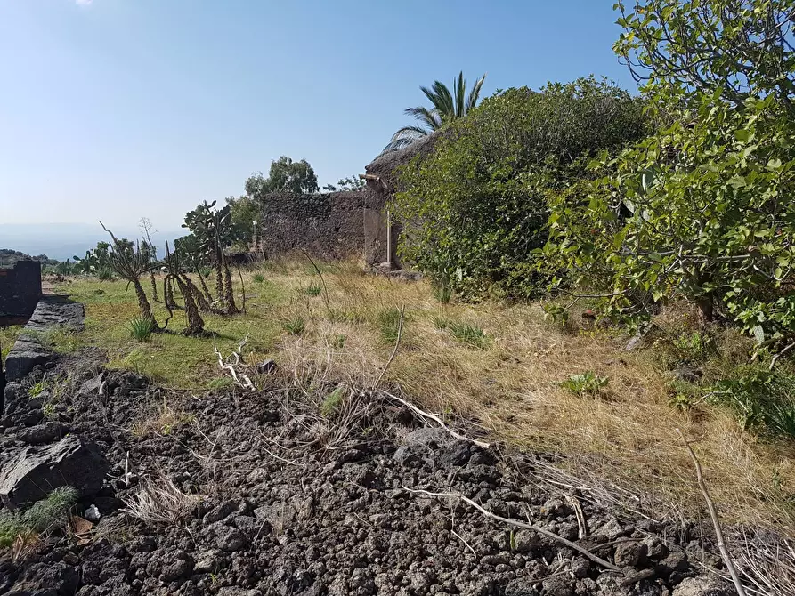 Immagine 8 di Terreno agricolo in vendita  a Ragalna