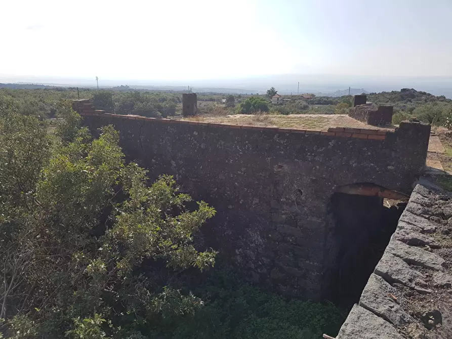 Immagine 10 di Terreno agricolo in vendita  a Ragalna