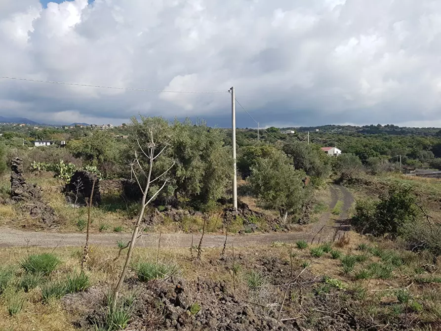 Immagine 15 di Terreno agricolo in vendita  a Ragalna