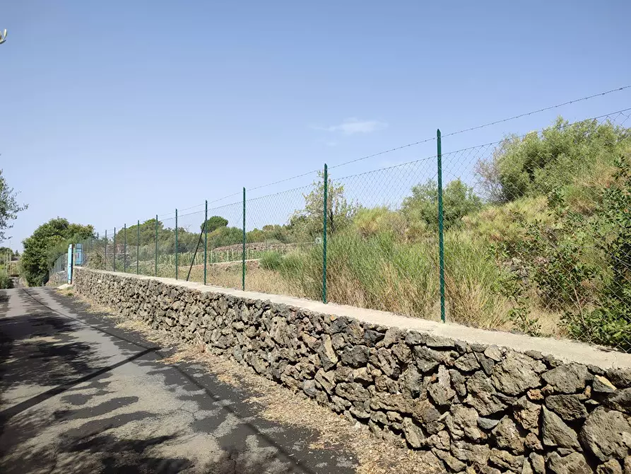 Immagine 1 di Terreno agricolo in vendita  a Santa Maria Di Licodia