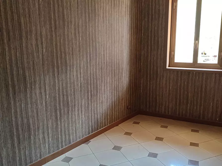 Immagine 14 di Appartamento in vendita  a Santa Maria Di Licodia