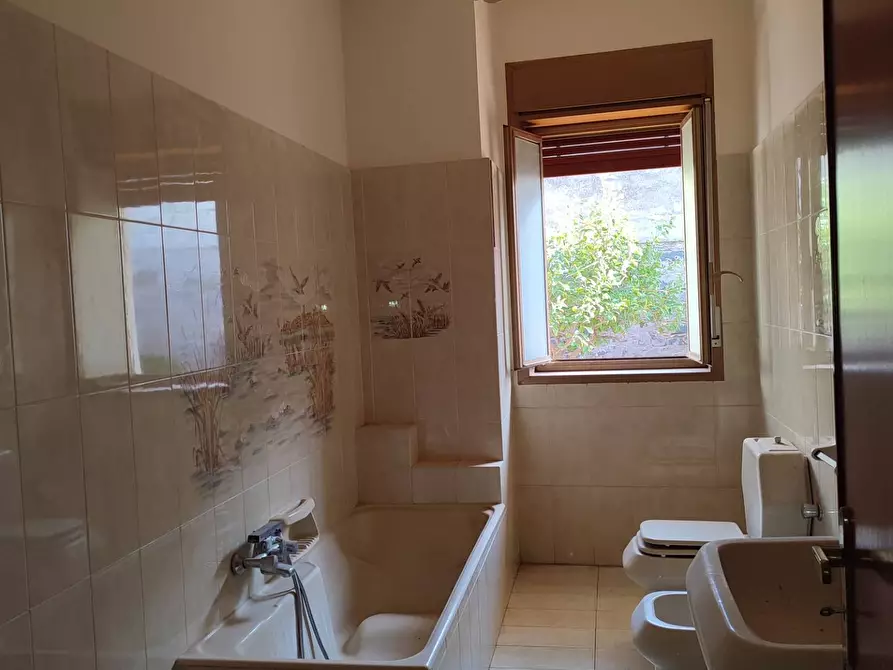 Immagine 17 di Appartamento in vendita  a Santa Maria Di Licodia