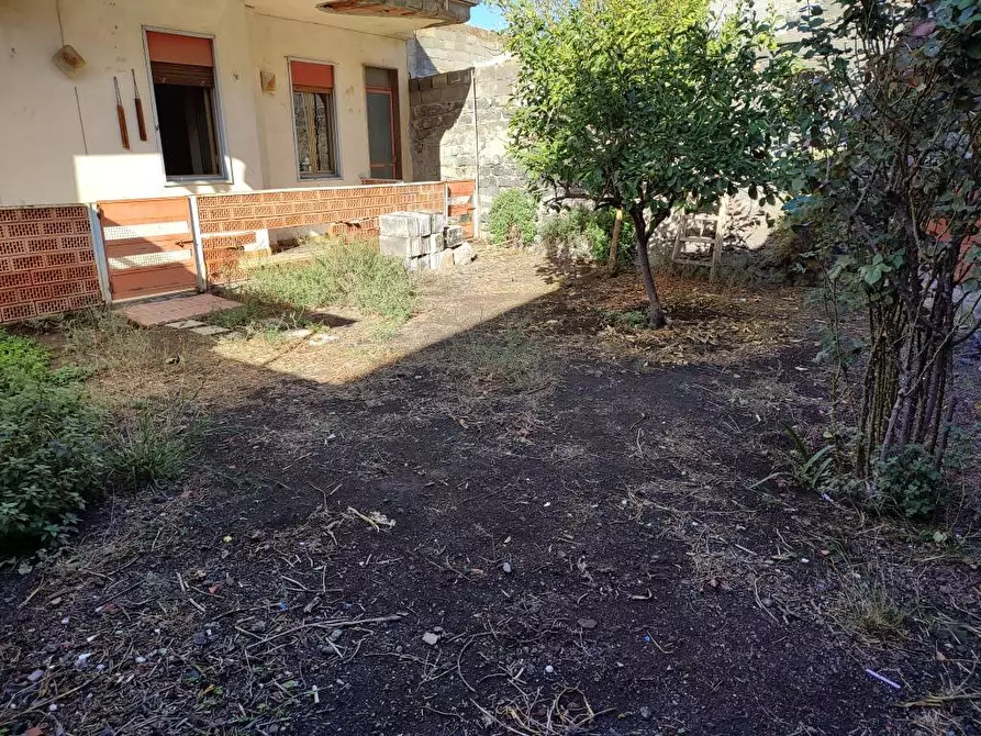 Immagine 25 di Appartamento in vendita  a Santa Maria Di Licodia