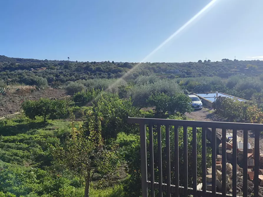 Immagine 12 di Terreno agricolo in vendita  a Paterno'