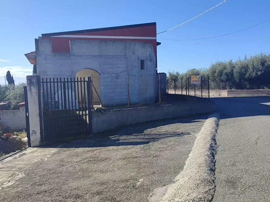 Immagine 7 di Terreno agricolo in vendita  a Paterno'