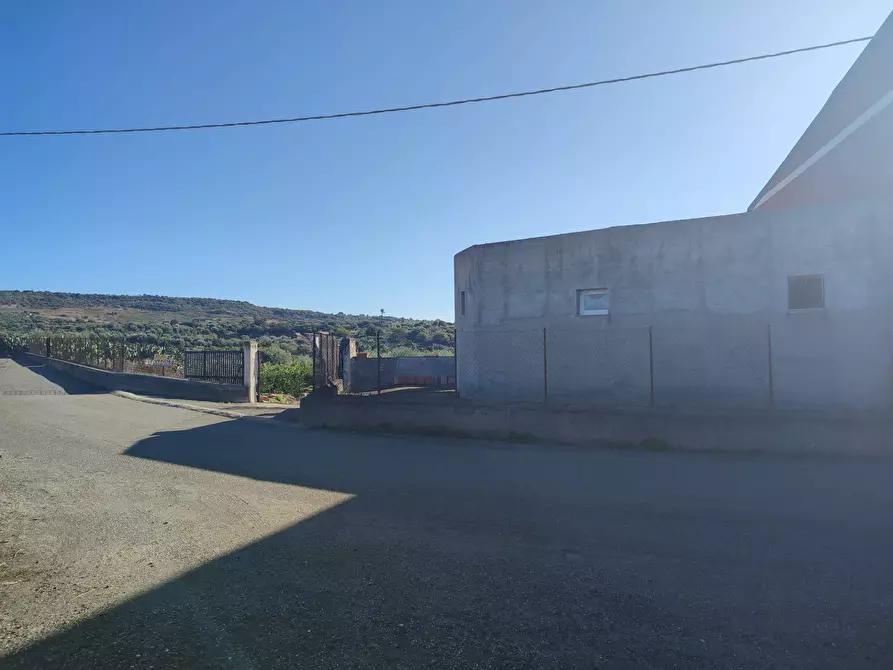 Immagine 10 di Terreno agricolo in vendita  a Paterno'