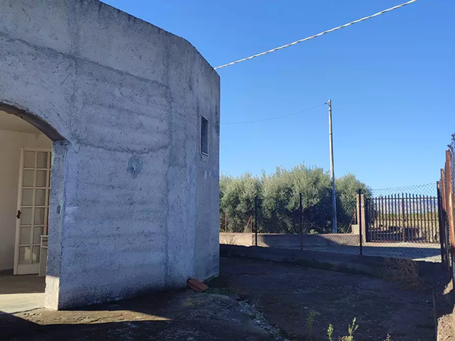 Immagine 9 di Terreno agricolo in vendita  a Paterno'
