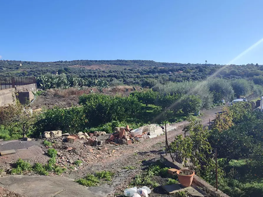 Immagine 13 di Terreno agricolo in vendita  a Paterno'
