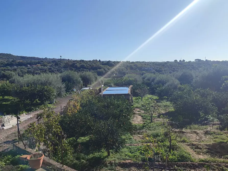 Immagine 14 di Terreno agricolo in vendita  a Paterno'