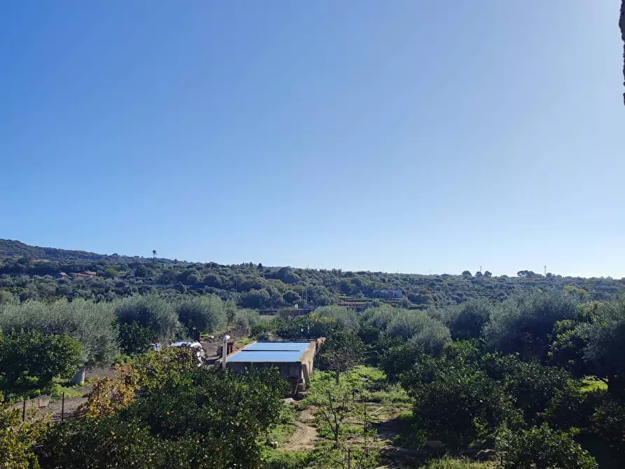 Immagine 15 di Terreno agricolo in vendita  a Paterno'