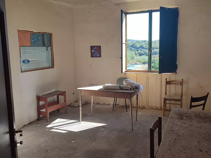 Immagine 22 di Terreno agricolo in vendita  a Paterno'