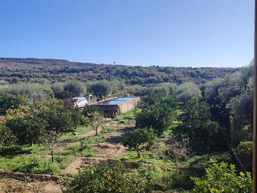 Immagine 27 di Terreno agricolo in vendita  a Paterno'