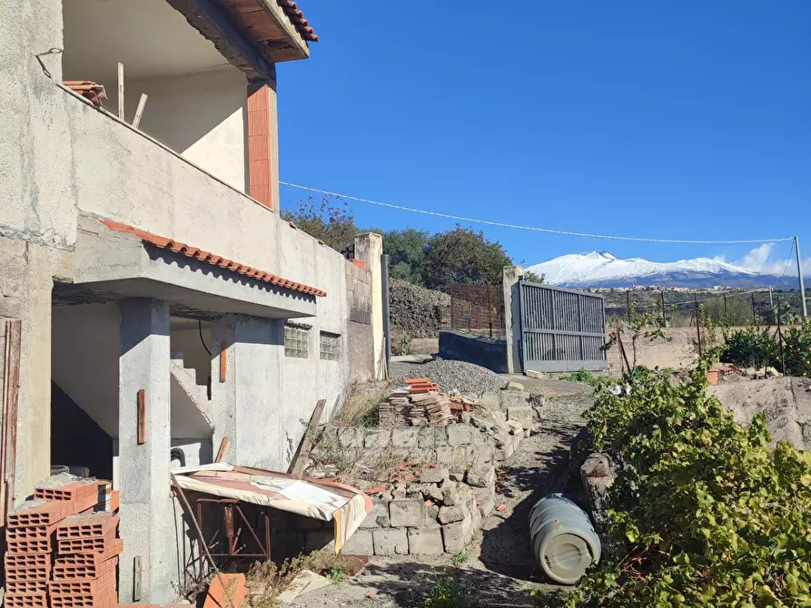 Immagine 4 di Terreno agricolo in vendita  a Paterno'