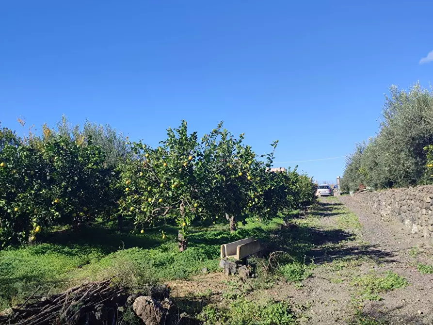 Immagine 30 di Terreno agricolo in vendita  a Paterno'