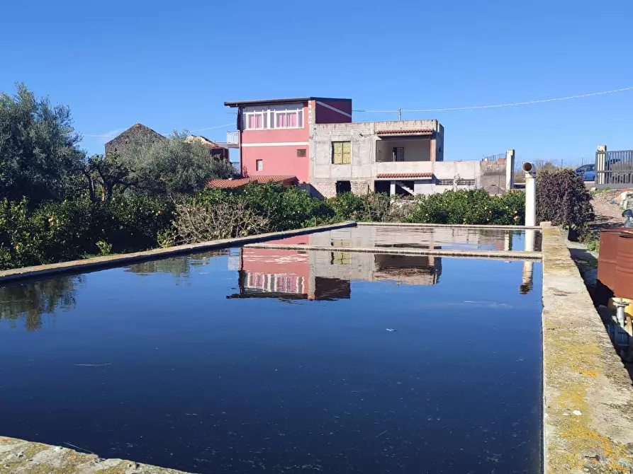 Immagine 3 di Terreno agricolo in vendita  a Paterno'