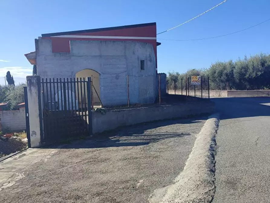 Immagine 6 di Terreno agricolo in vendita  a Paterno'