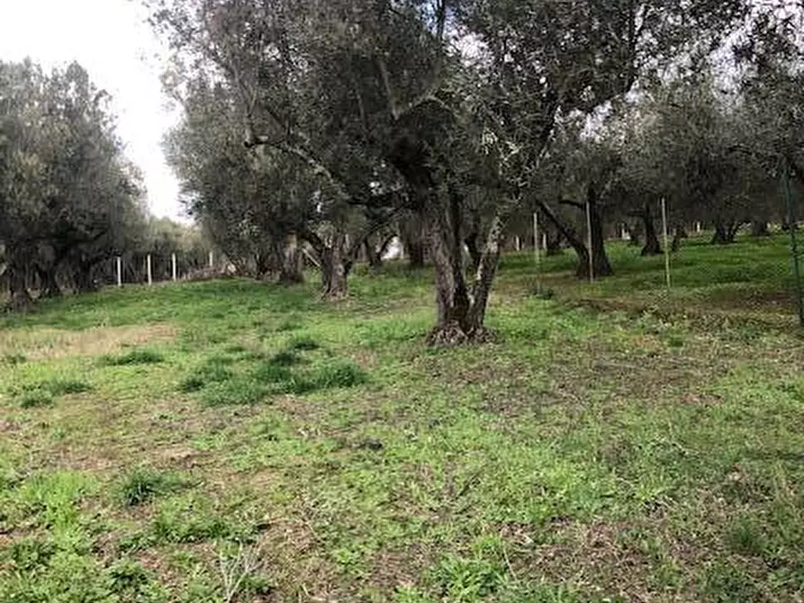 Immagine 6 di Villa in vendita  in località Alvagnano a Vetralla