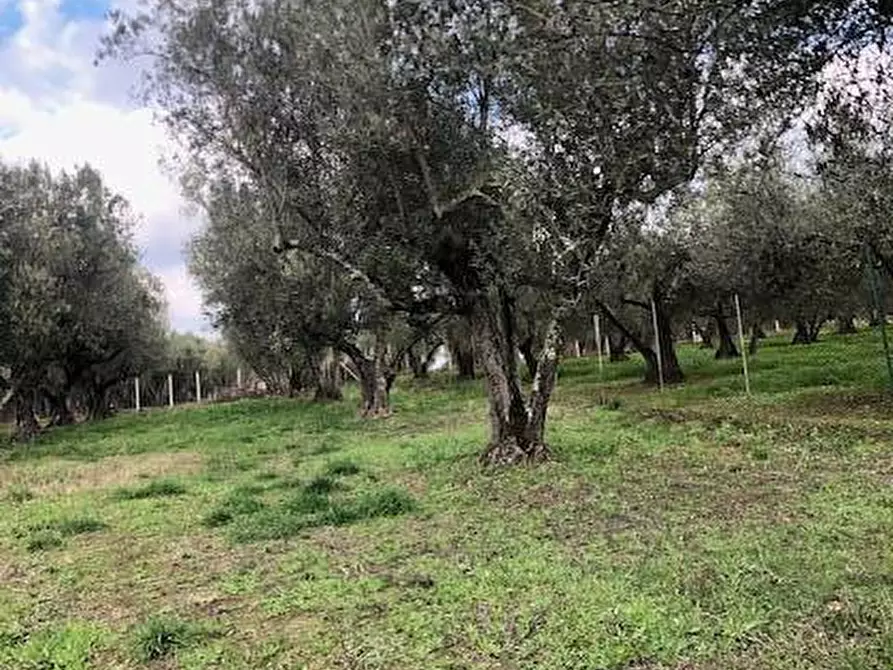 Immagine 7 di Villa in vendita  in località Alvagnano a Vetralla