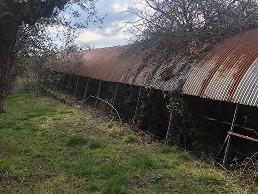 Immagine 11 di Villa in vendita  in località Alvagnano a Vetralla