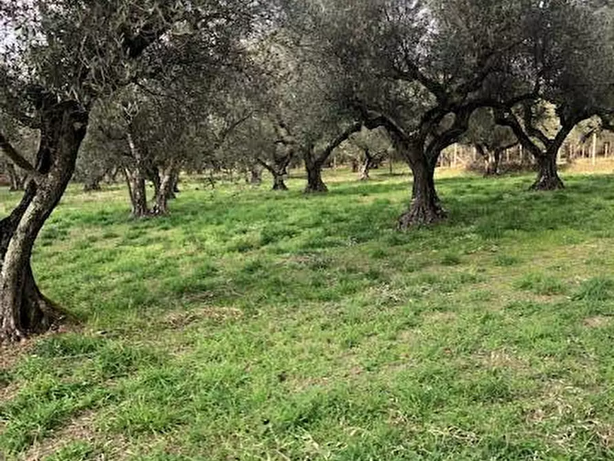 Immagine 12 di Villa in vendita  in località Alvagnano a Vetralla