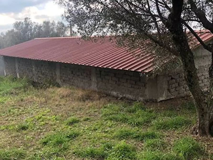 Immagine 14 di Villa in vendita  in località Alvagnano a Vetralla