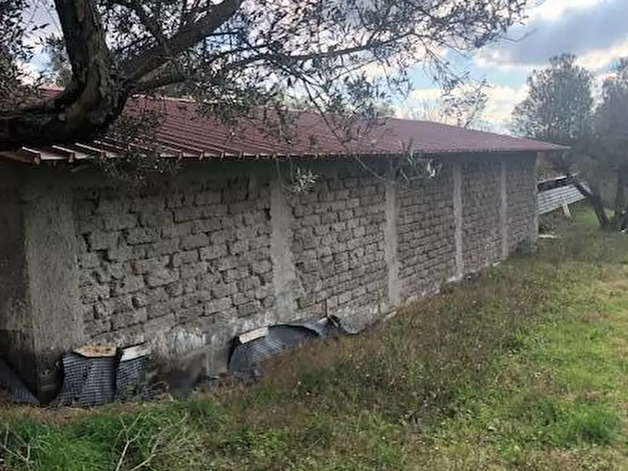 Immagine 15 di Villa in vendita  in località Alvagnano a Vetralla