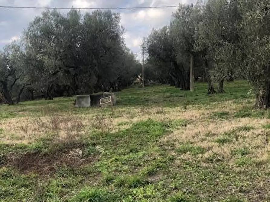 Immagine 16 di Villa in vendita  in località Alvagnano a Vetralla
