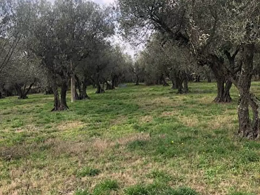Immagine 21 di Villa in vendita  in località Alvagnano a Vetralla