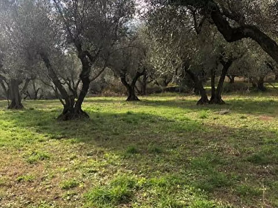 Immagine 22 di Villa in vendita  in località Alvagnano a Vetralla