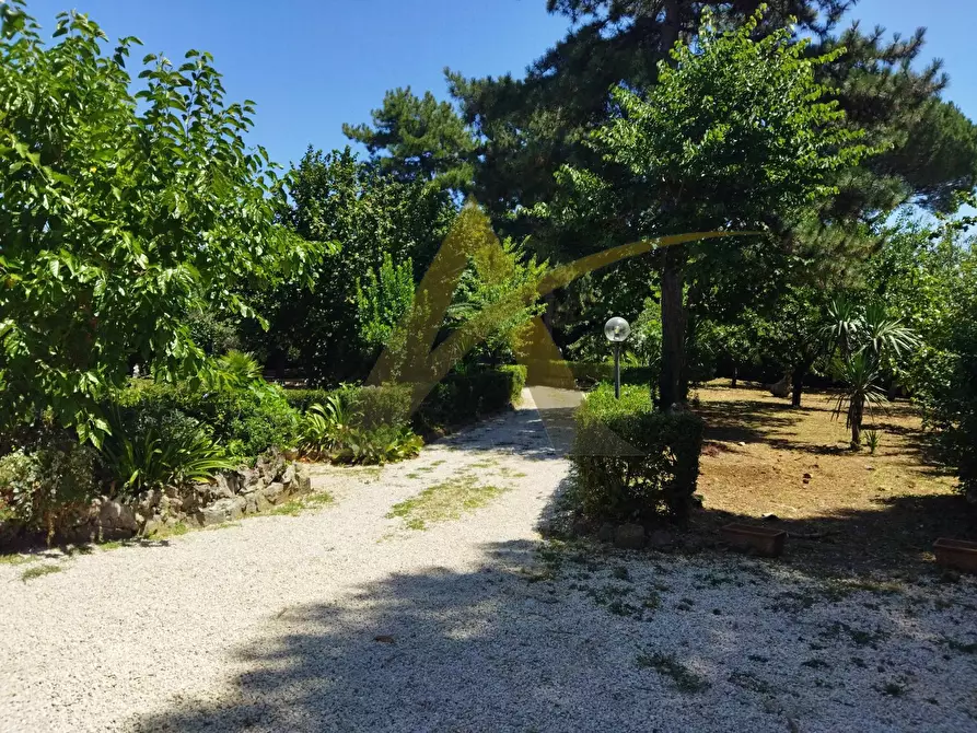 Immagine 20 di Villa in vendita  in Via Madonna degli Angeli a Velletri