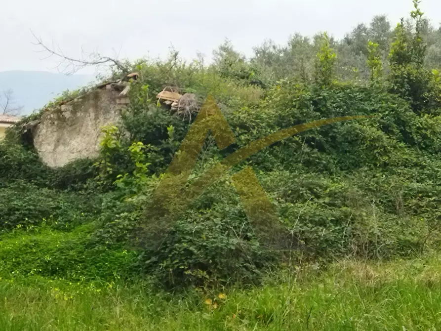 Immagine 3 di Rustico / casale in vendita  in via capitancelli a Velletri