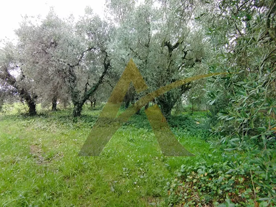 Immagine 4 di Rustico / casale in vendita  in via capitancelli a Velletri