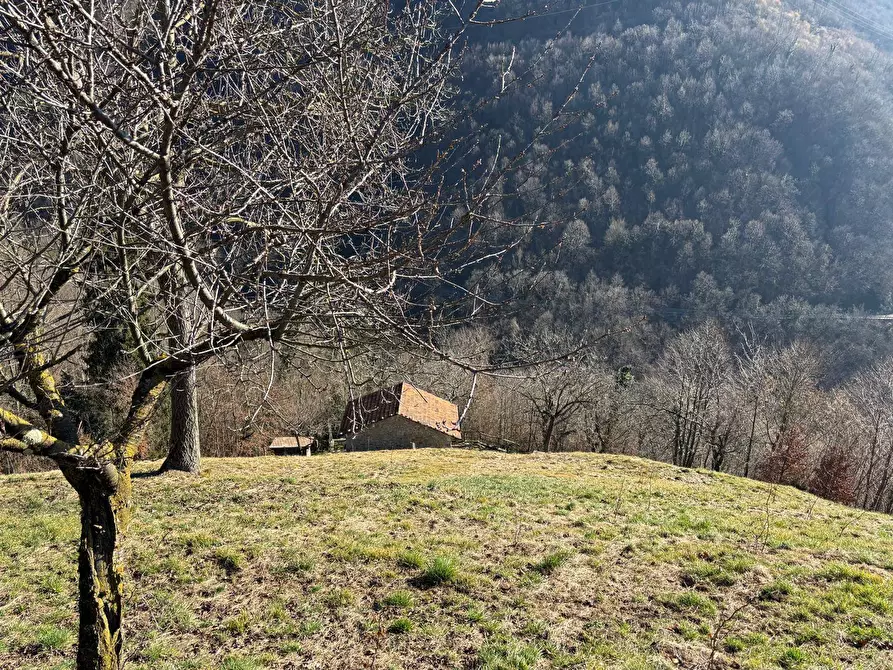 Immagine 3 di Rustico / casale in vendita  in VIA FOPPETTA a Val Brembilla